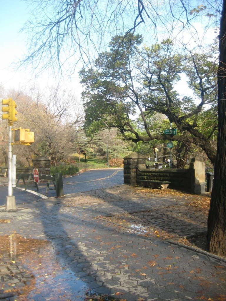 293 Central Park W - Photo 9