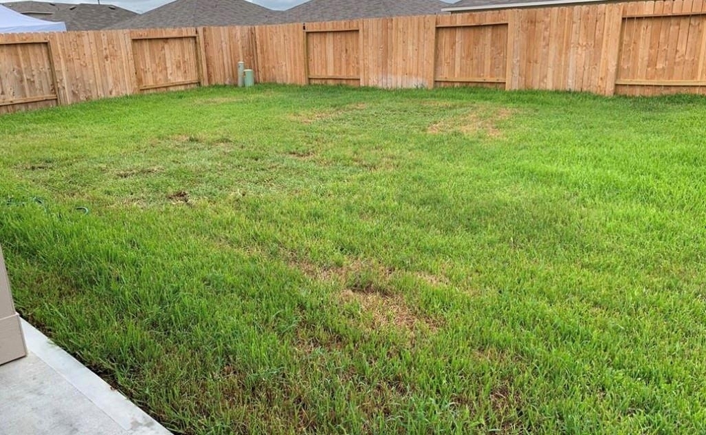21310 Riverdew Drive - Photo 11