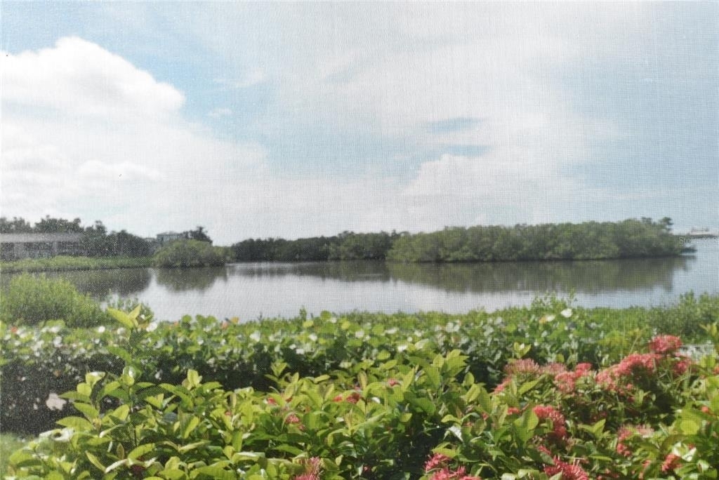1520 Pelican Point Drive - Photo 10