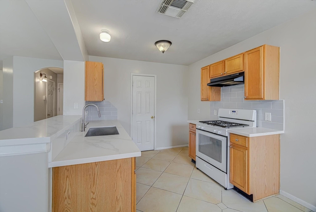 13983 Maximos Drive - Photo 9