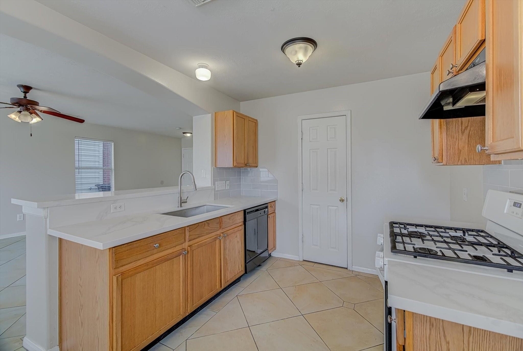 13983 Maximos Drive - Photo 10