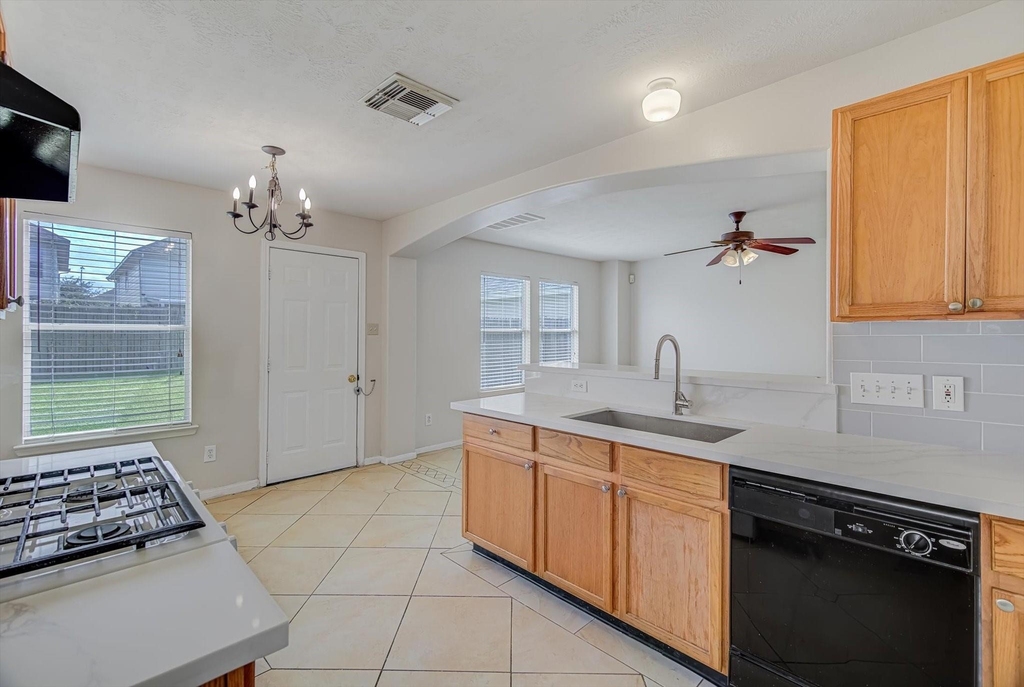 13983 Maximos Drive - Photo 11