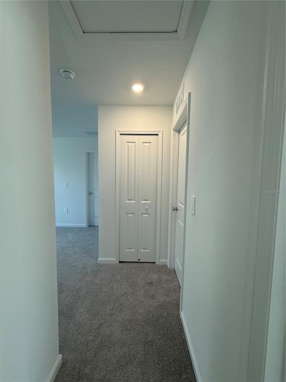 2528 Absolute Avenue - Photo 9