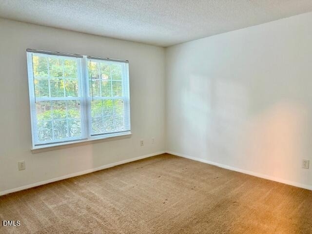 1208 Manassas Court - Photo 9
