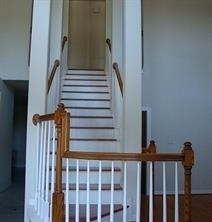 4639 Cashel Circle - Photo 1