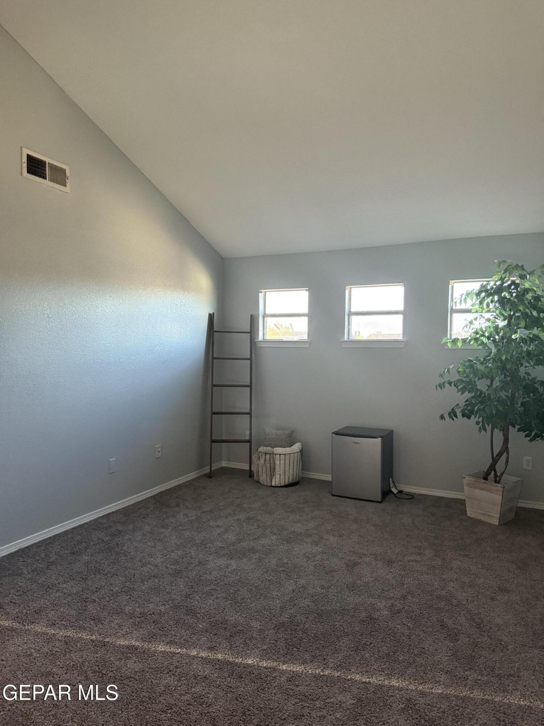 12253 Holy Springs Court - Photo 29
