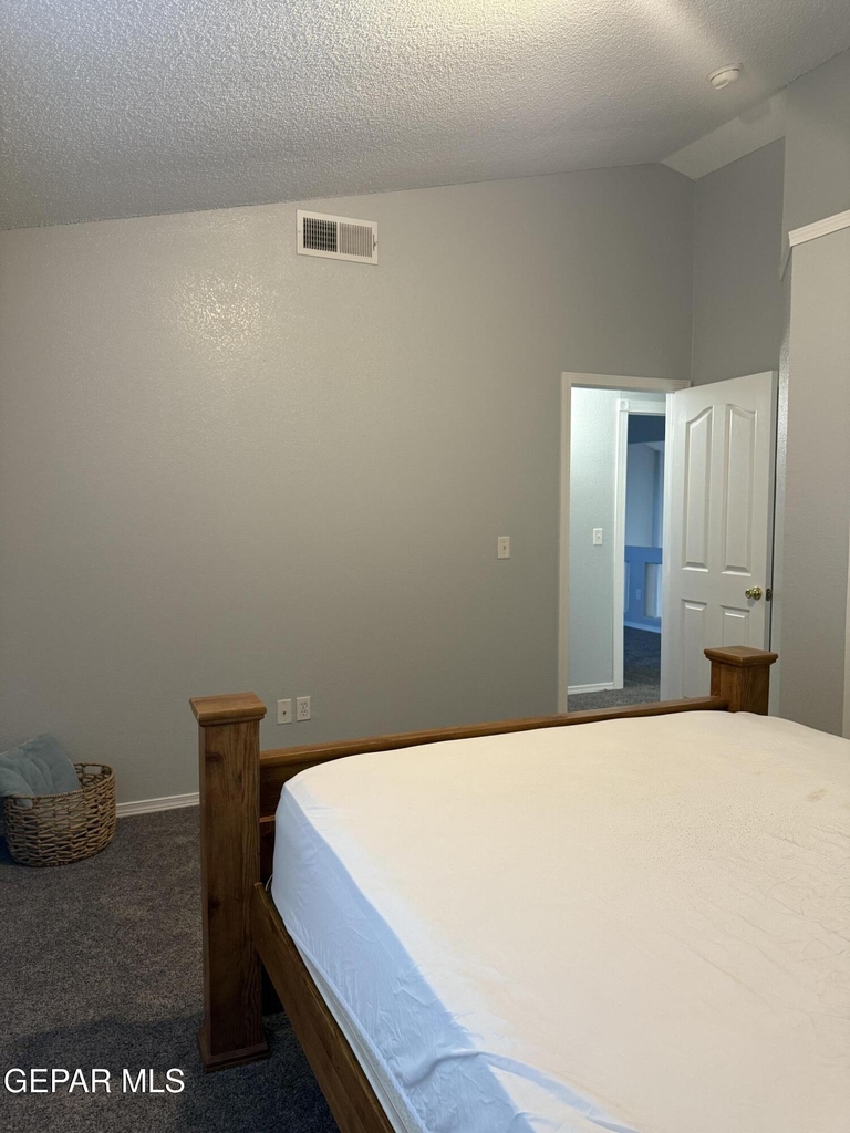 12253 Holy Springs Court - Photo 39