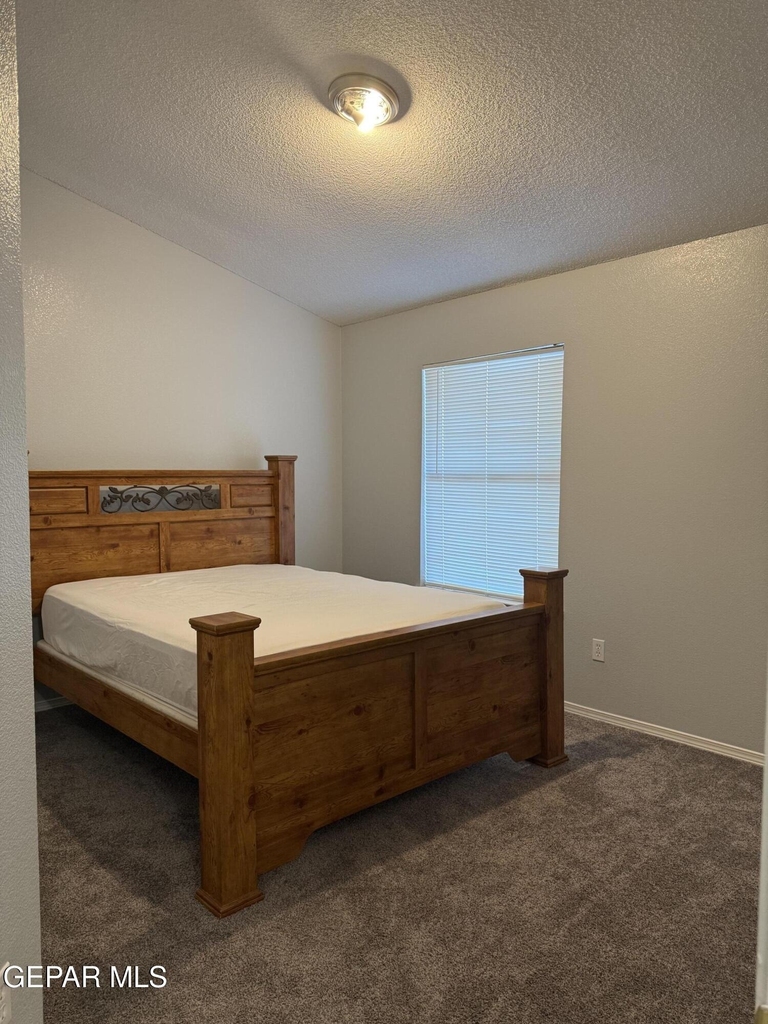 12253 Holy Springs Court - Photo 38