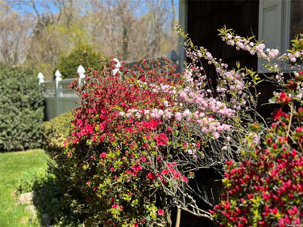 126 Overhill Road - Photo 19