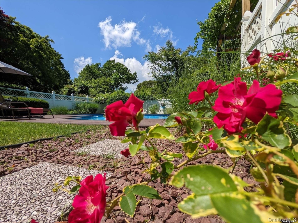126 Overhill Road - Photo 21