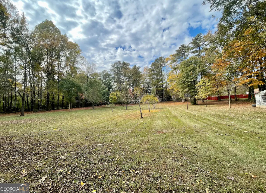 1401 Panola Road - Photo 1