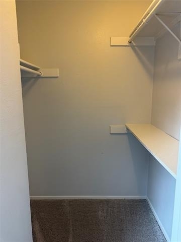 883 Dublin Drive - Photo 12