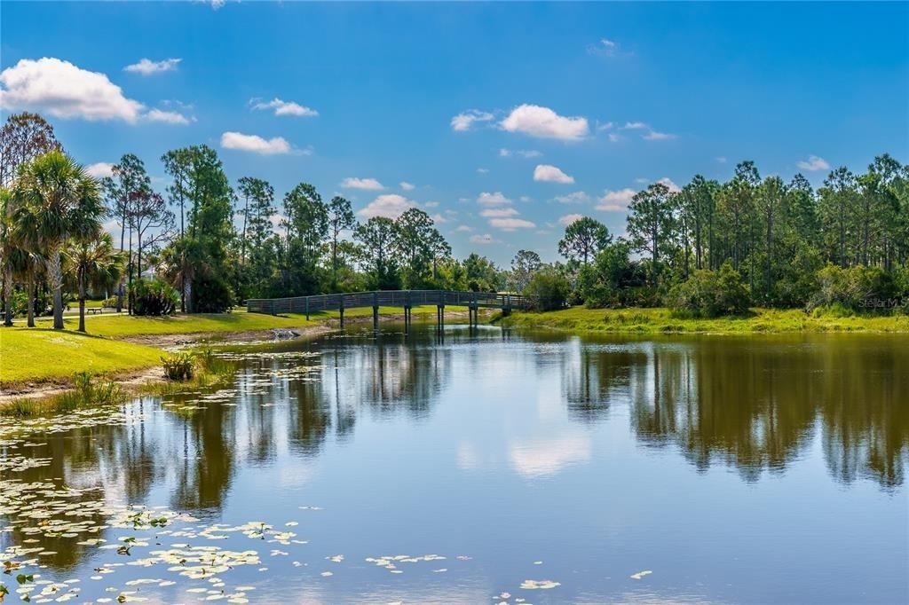 13017 Steinhatchee Loop - Photo 81