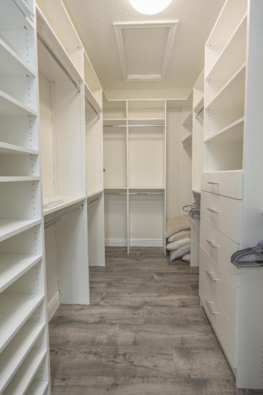 151 Sword Fern Place - Photo 61