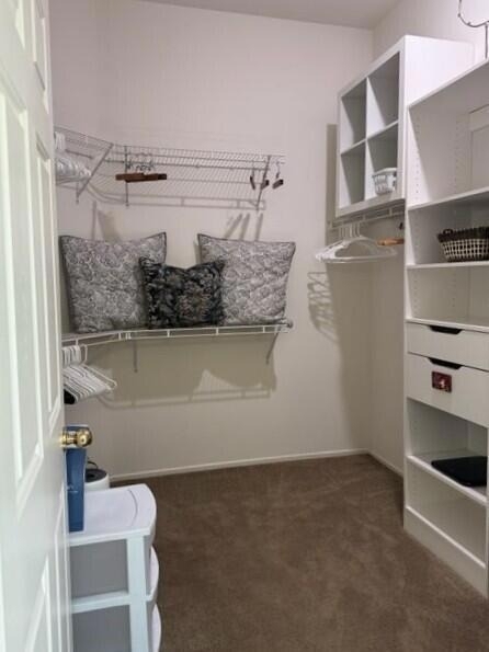 35875 Donny Circle - Photo 21