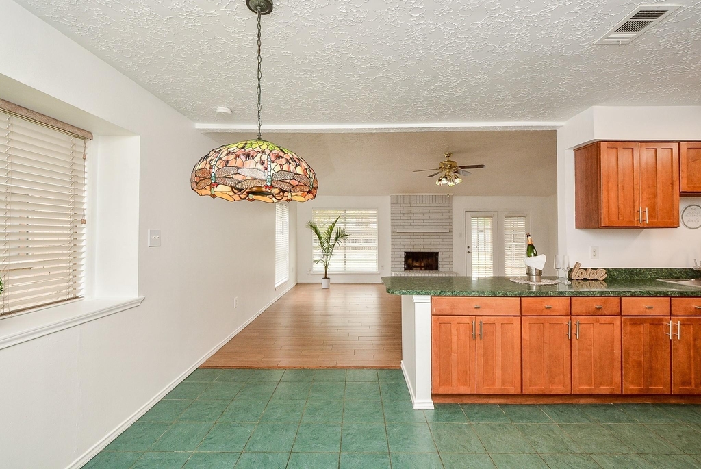 3315 Honey Creek Drive - Photo 10