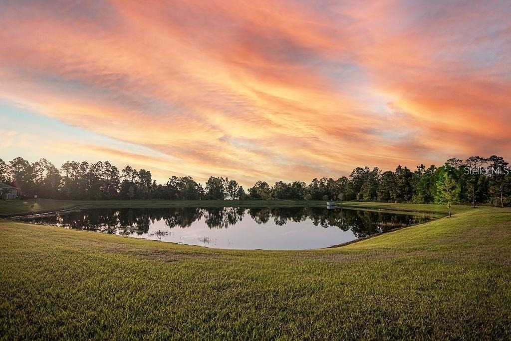 2937 Hooded Crane Cove - Photo 3