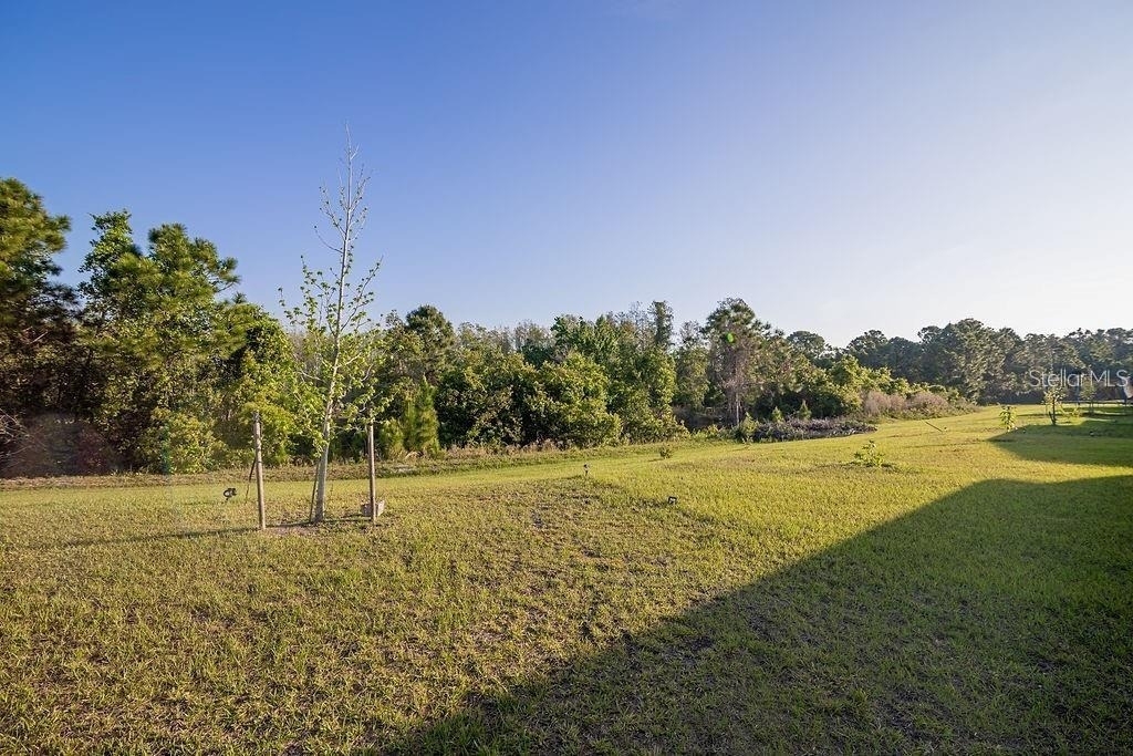 2937 Hooded Crane Cove - Photo 27