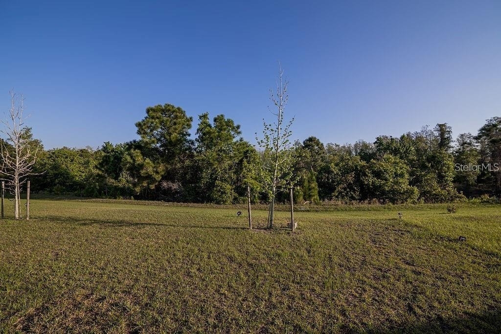 2937 Hooded Crane Cove - Photo 28