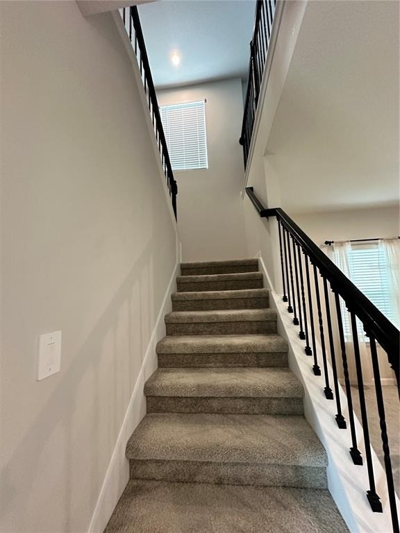 3941 Cuyahoga Valley Court - Photo 19