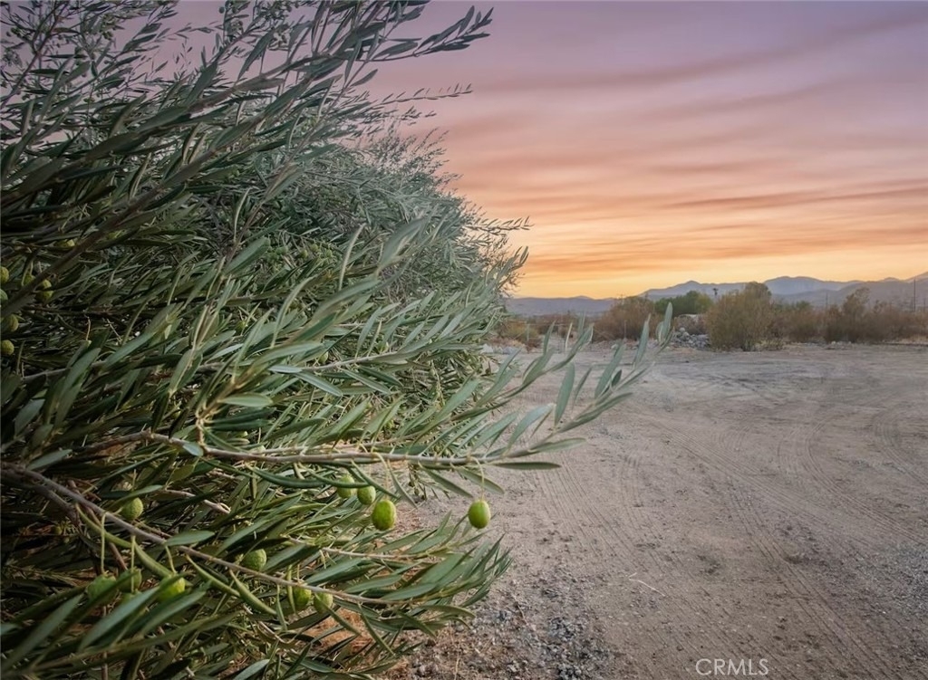 50785 Twentynine Palms Hwy - Photo 43