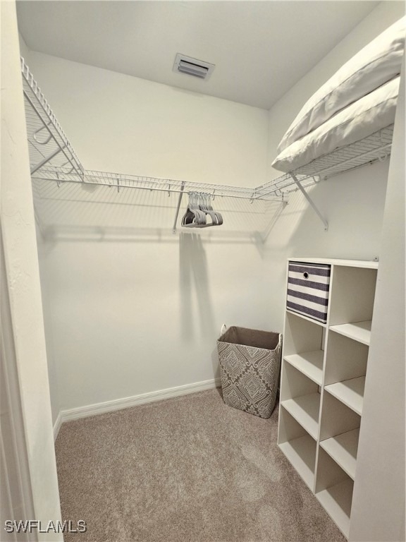 5807 Double Eagle Circle - Photo 10