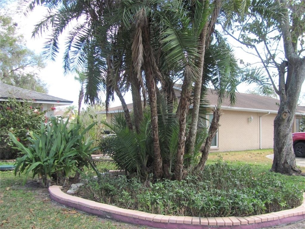 3210 Silkwood Loop - Photo 35