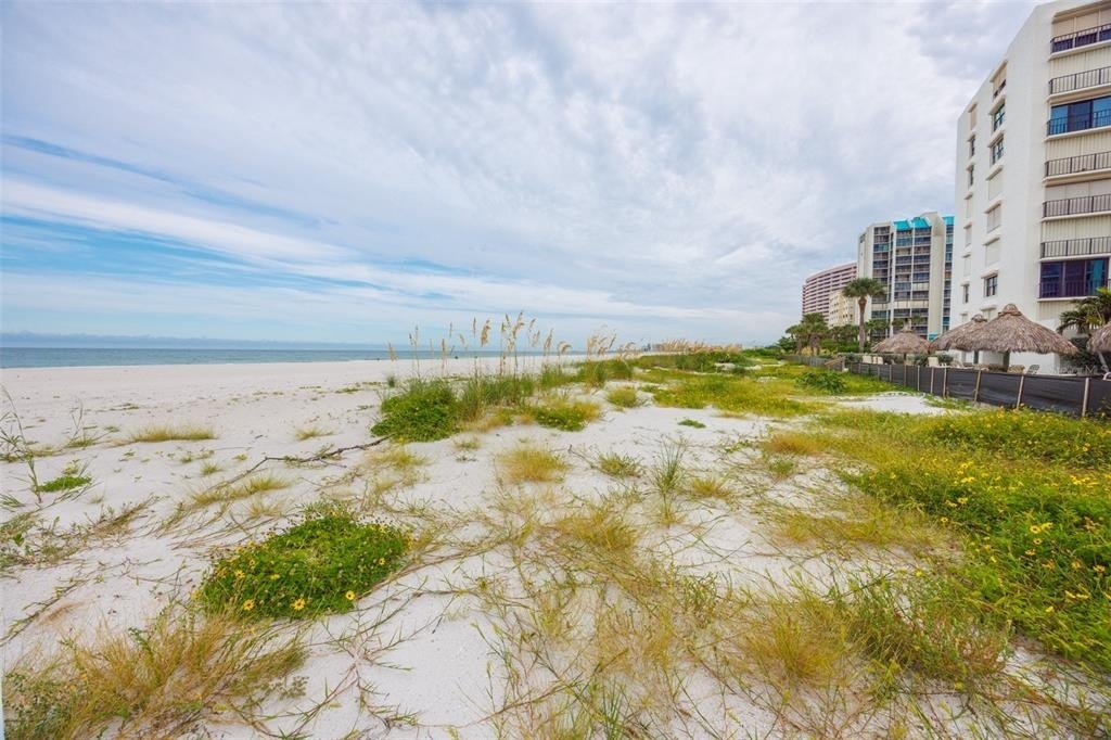 1400 Gulf Boulevard - Photo 24