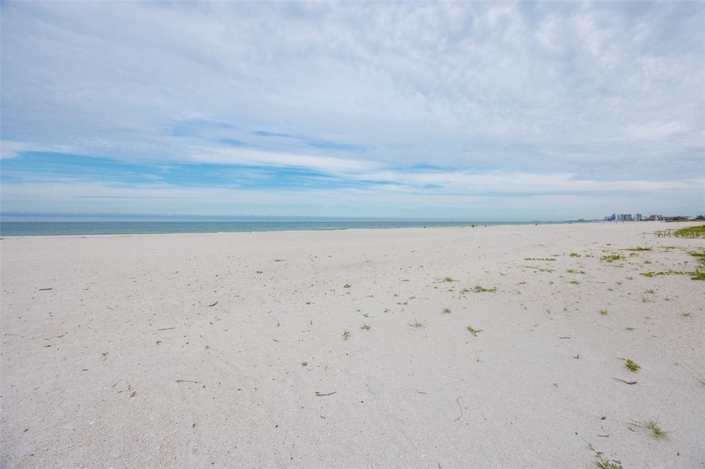 1400 Gulf Boulevard - Photo 30