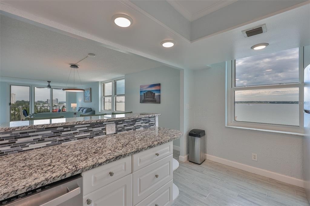 1400 Gulf Boulevard - Photo 12