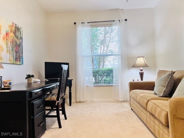 11091 Corsia Trieste Way - Photo 10