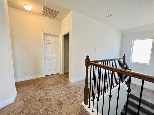 5644 Salt Springs Drive - Photo 20