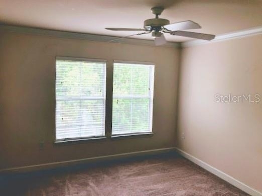 18193 Bridle Club Drive - Photo 5