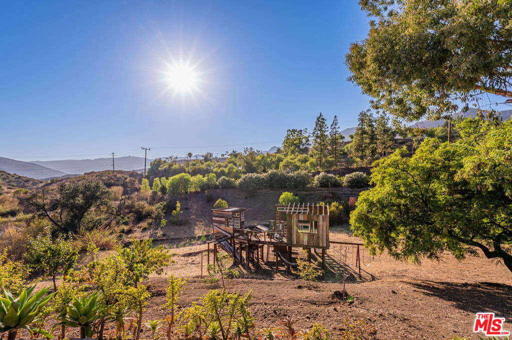 34136 Mulholland Highway - Photo 39