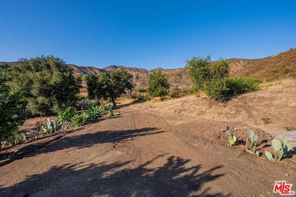 34136 Mulholland Highway - Photo 40