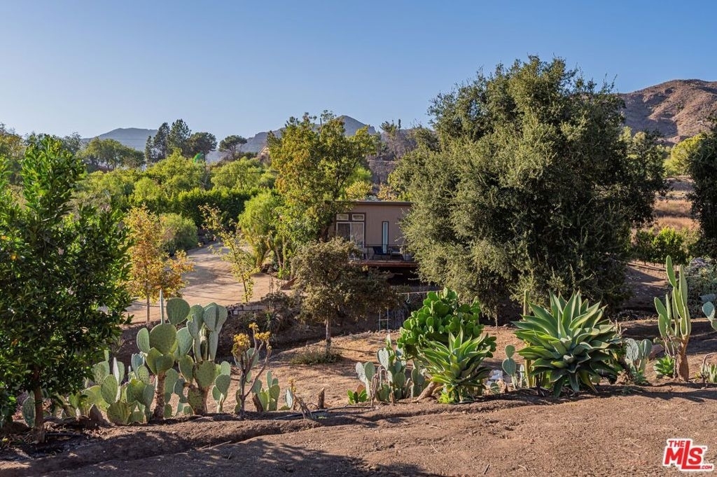 34136 Mulholland Highway - Photo 43