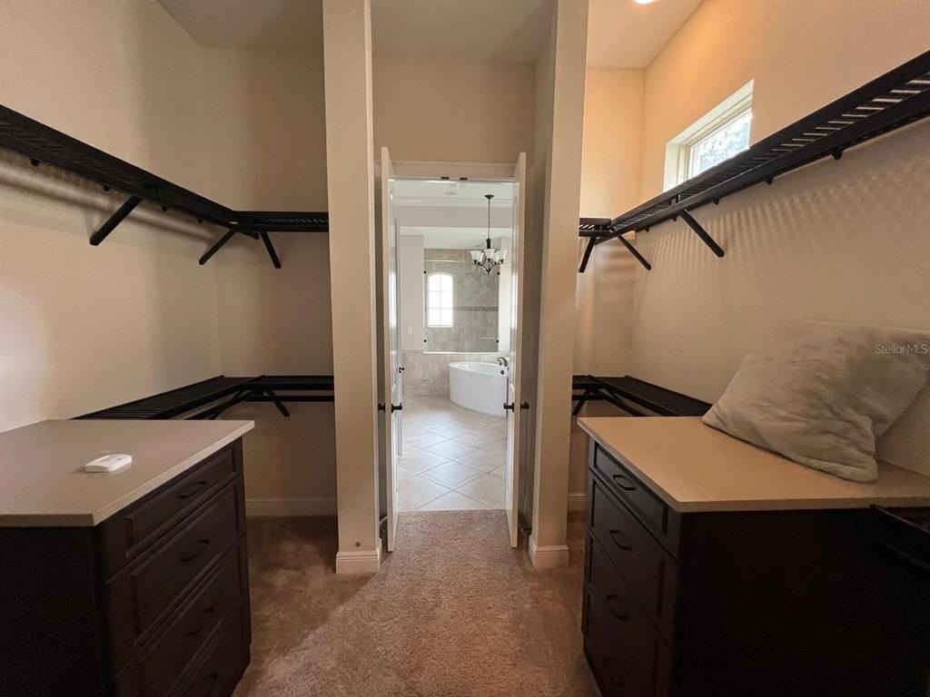 12927 Canopy Woods Way - Photo 14