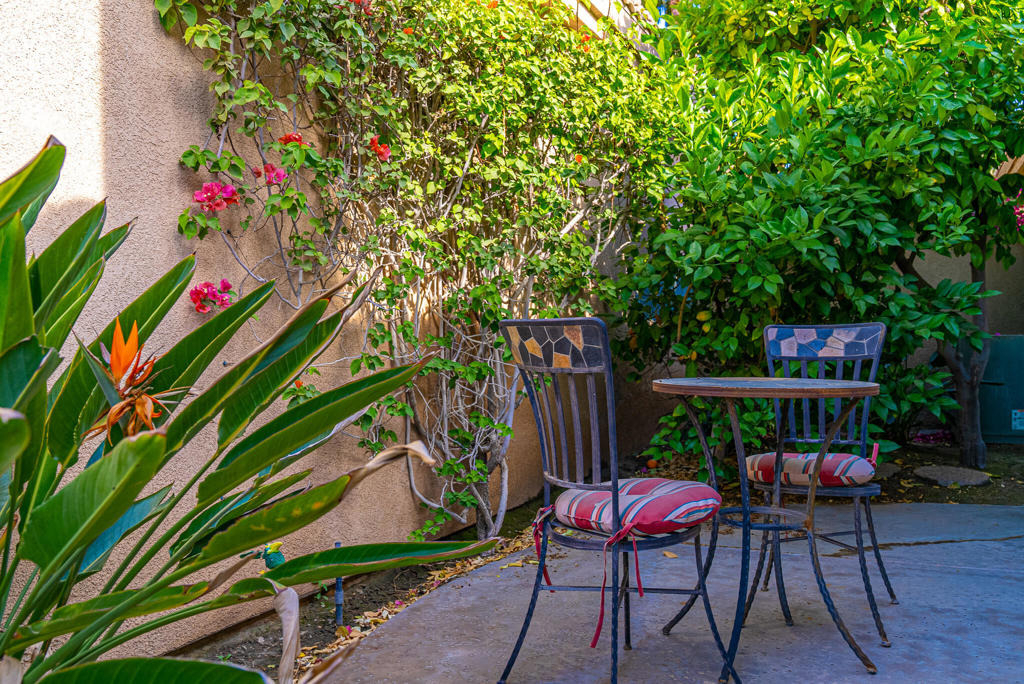 67645 Cielo Court - Photo 22