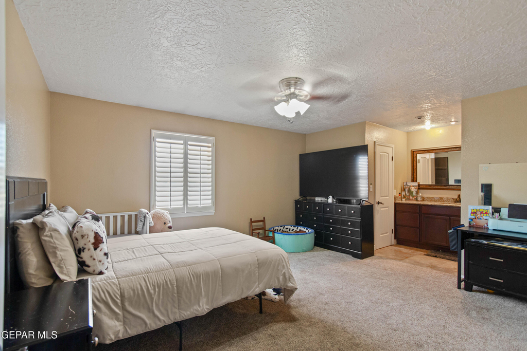 8614 Holmsely Trail - Photo 12