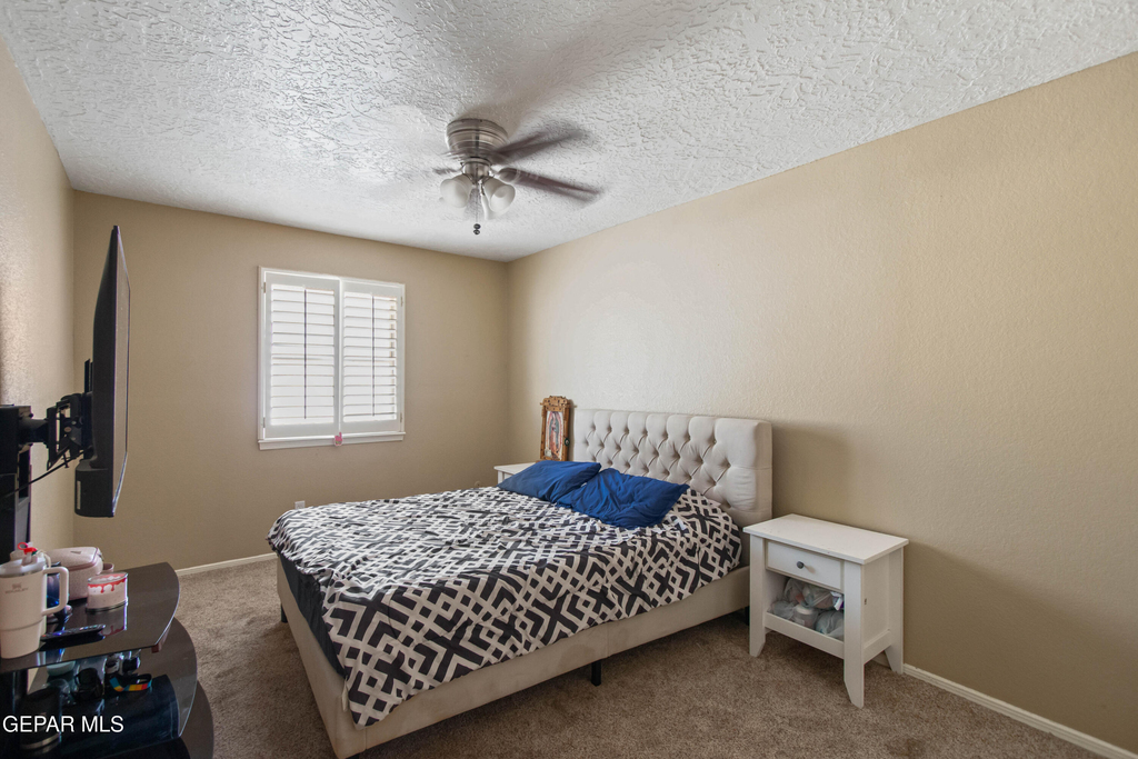 8614 Holmsely Trail - Photo 13