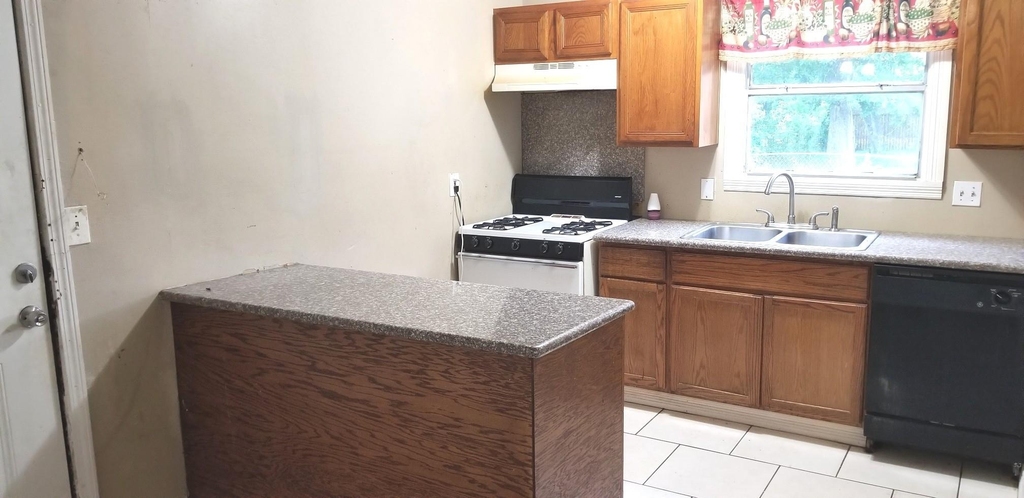 4515 White Rock Street - Photo 5