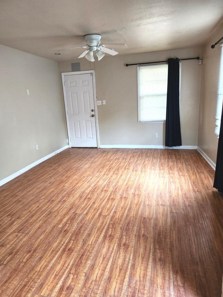 4515 White Rock Street - Photo 1
