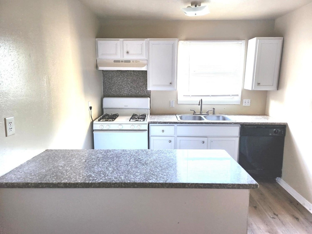 4515 White Rock Street - Photo 5