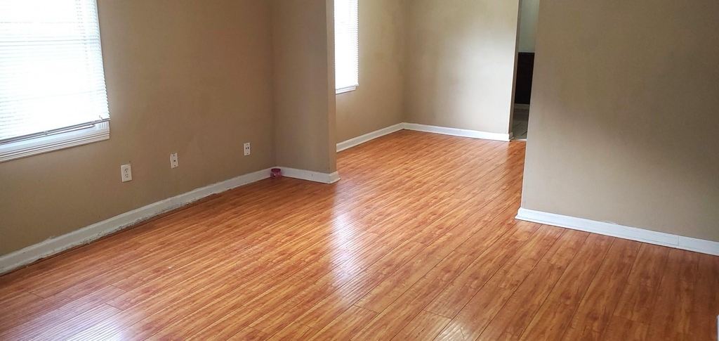 4515 White Rock Street - Photo 1