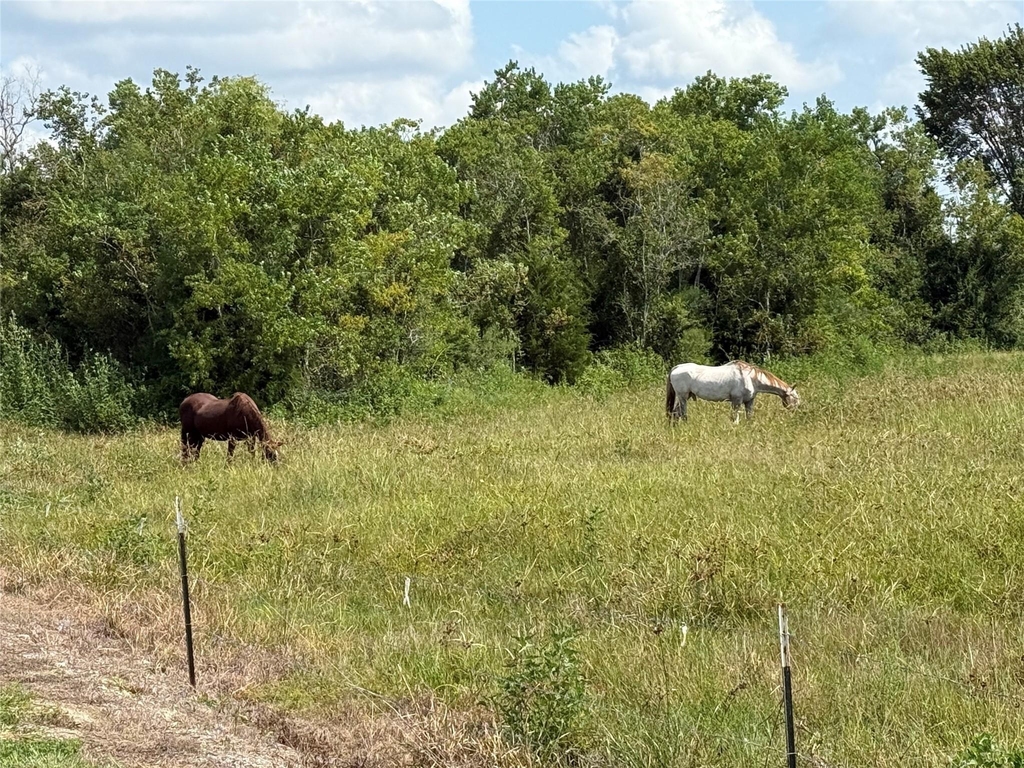 17310 Cowan Road - Photo 5
