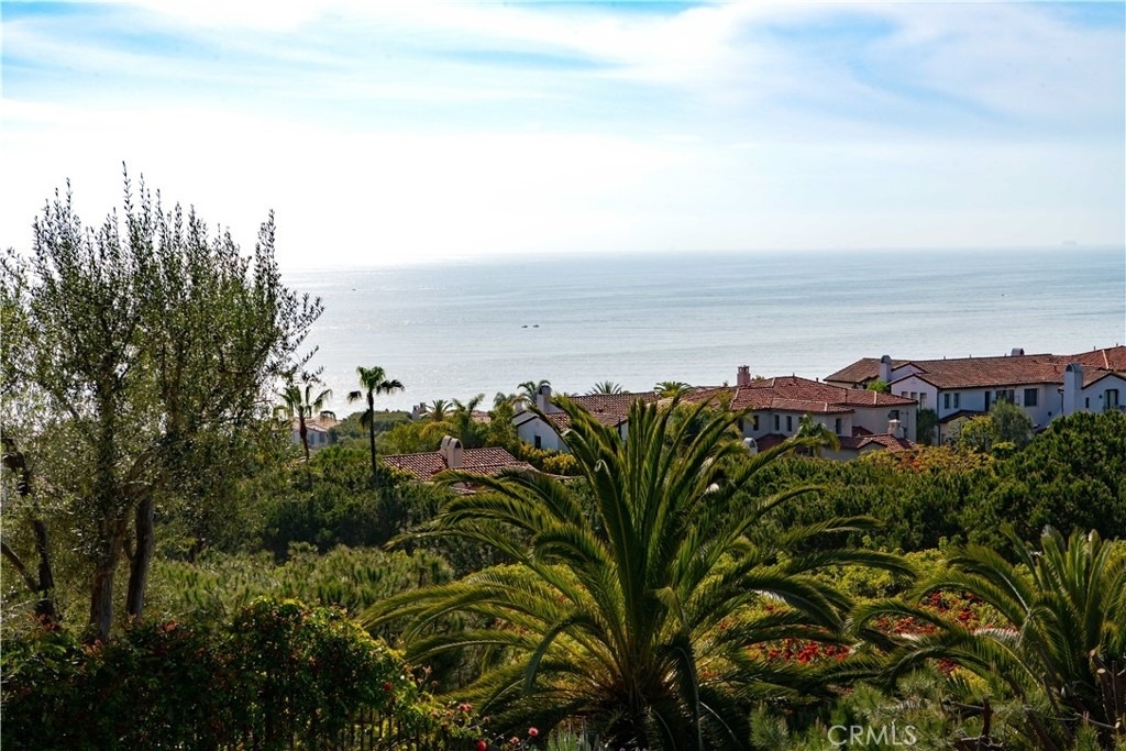 6 Surfspray Bluff - Photo 34