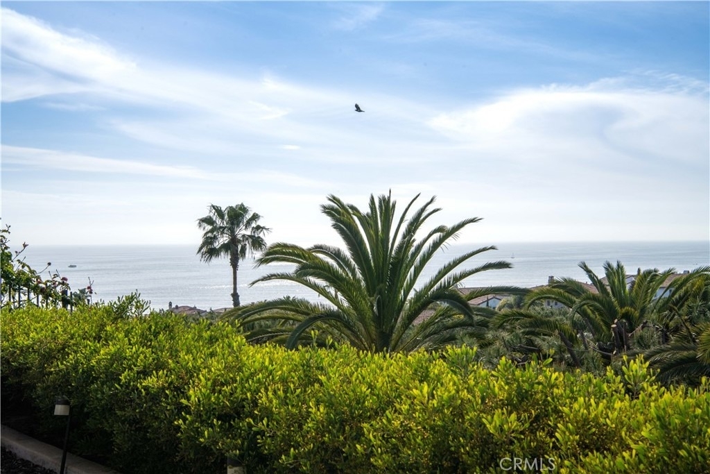 6 Surfspray Bluff - Photo 2
