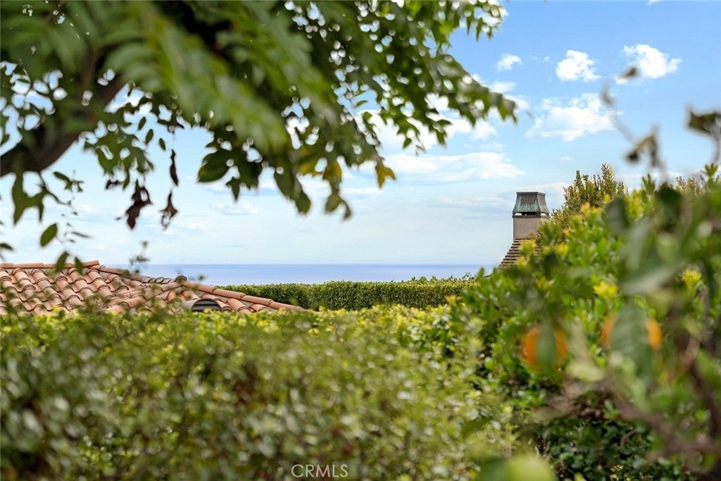 839 Emerald Bay - Photo 6