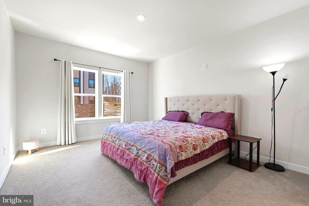 46270 Mount Allen Terrace - Photo 9