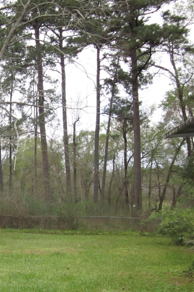 4018 E Mossy Oaks Road - Photo 9